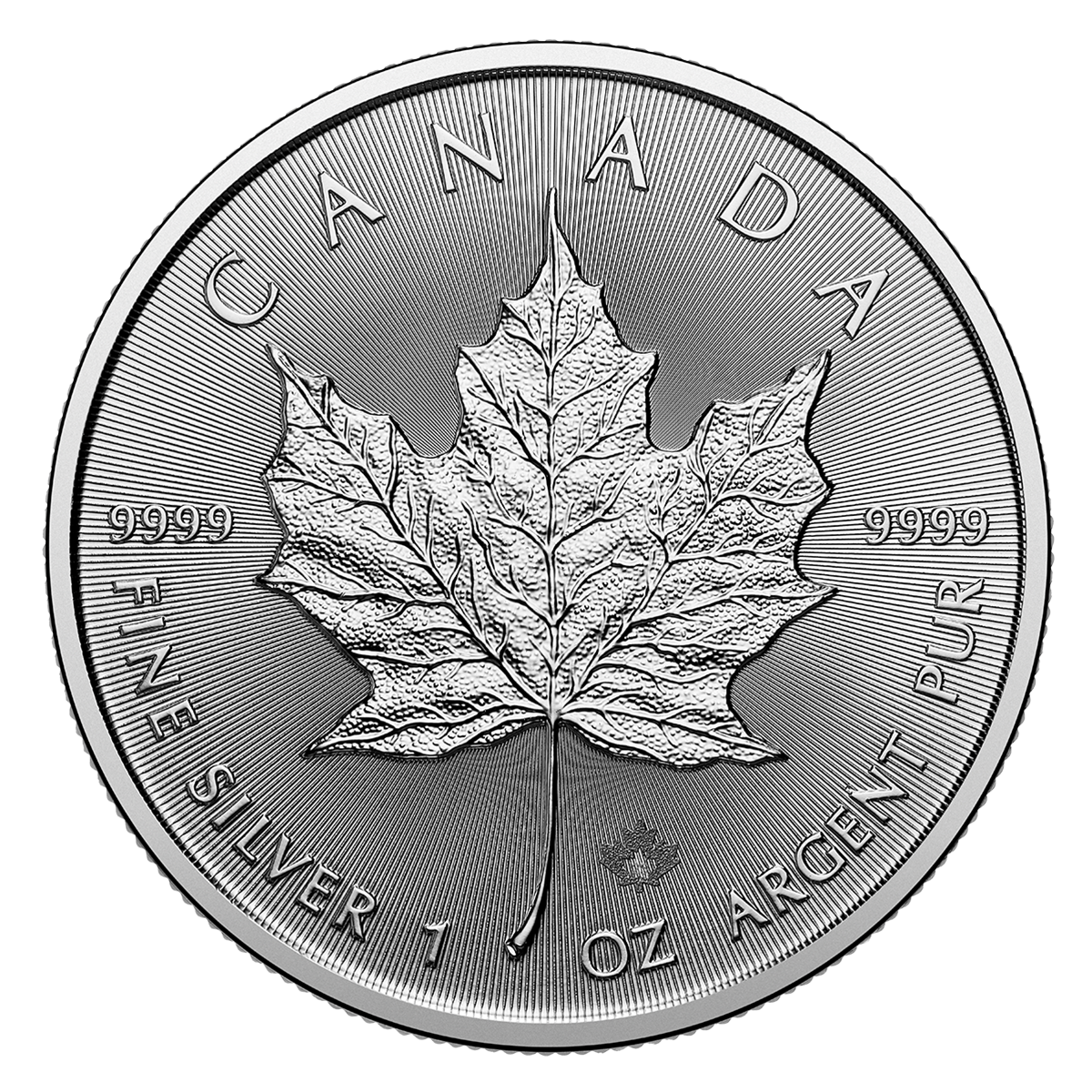 1-ounce-canadian-silver-maple-leaf-2025